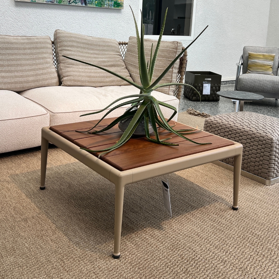 Indoor showroom scene with a rectangular coffee table featuring a wooden top and beige legs, a large spiky succulent centerpiece, and beige sectional seating in the background with woven texture accents.
