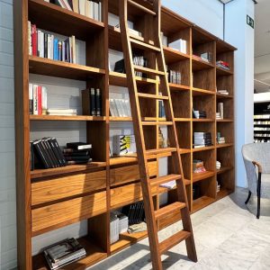 Tall wooden bookcase with multiple shelves filled with books, and a wooden ladder resting in front of it in a bright reading area.