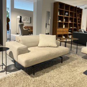 Beige sofa with a single cushion on a shag rug in a modern furniture showroom.