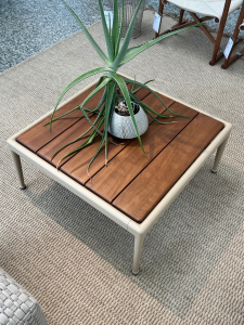 A potted aloe plant sits on a wooden-topped beige coffee table in a showroom setting.
