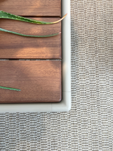 Green aloe leaves drape across dark wood slats beside a light-colored plastic frame; textured beige carpet is visible on the right.