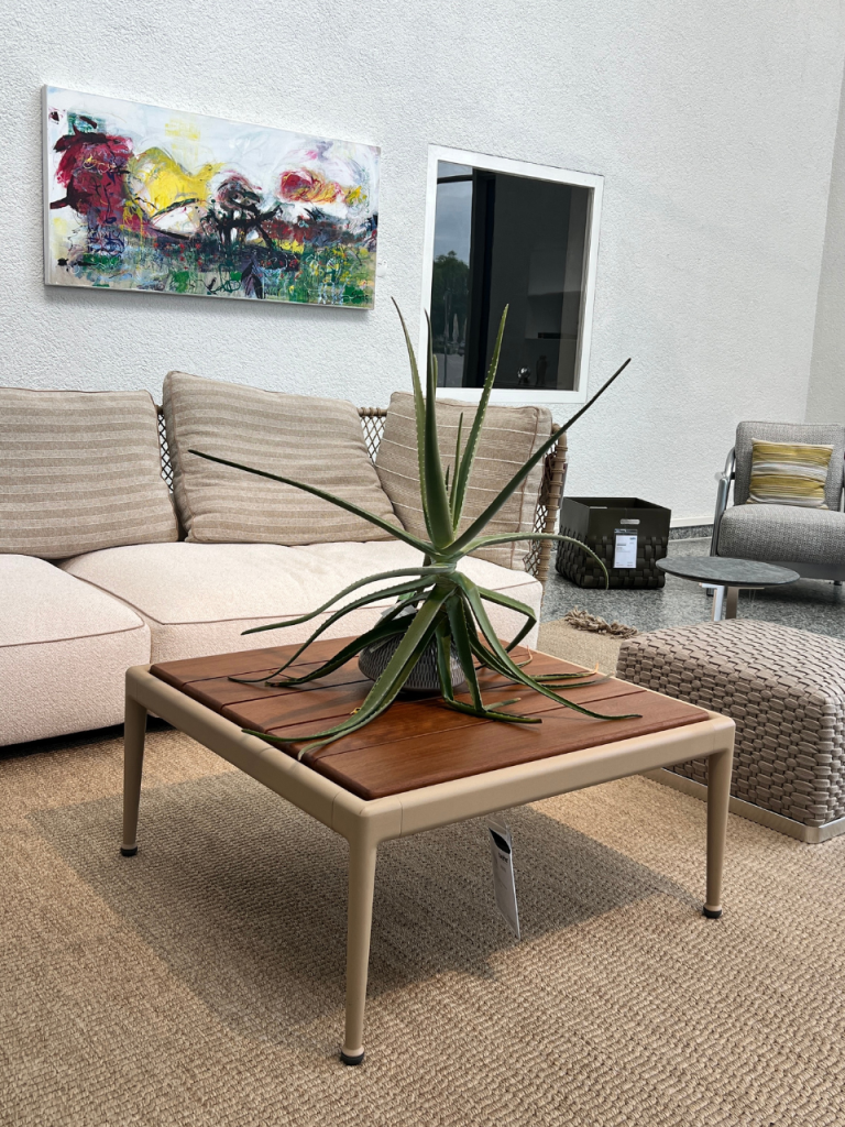 Beige sectional sofa with a wooden-top coffee table and a large spiky succulent centerpiece in a bright lounge area.